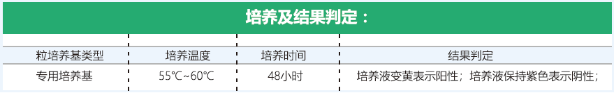 INNOVE 生物指示剂产品说明图